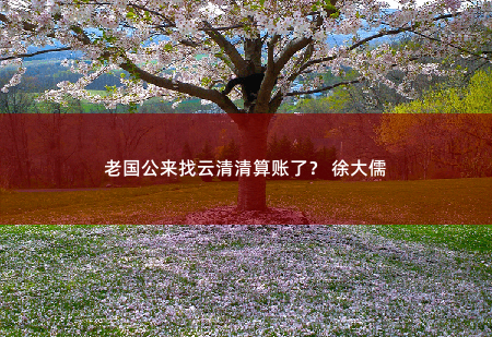 老国公来找云清清算账了？ 徐大儒穿越后，她靠玄术震惊朝野-掌中文学