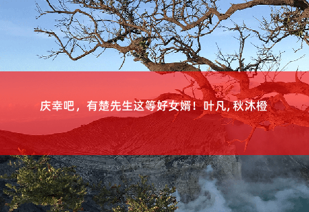 庆幸吧，有楚先生这等好女婿！叶凡, 秋沐橙弃婿归来-掌中文学