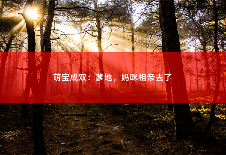 萌宝成双：爹地，妈咪相亲去了 生子-掌中文学