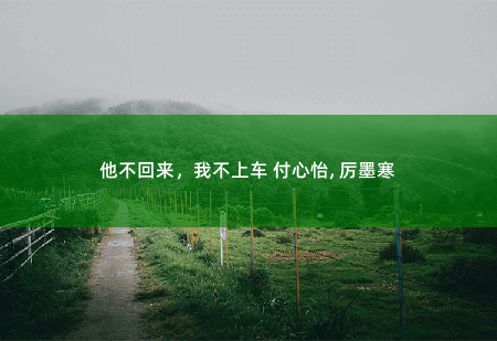他不回来，我不上车 付心怡, 厉墨寒替嫁医妻心尖宠-掌中文学