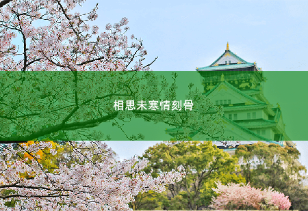 相思未寒情刻骨 沈卿卿，我为什么要信你？-掌中文学