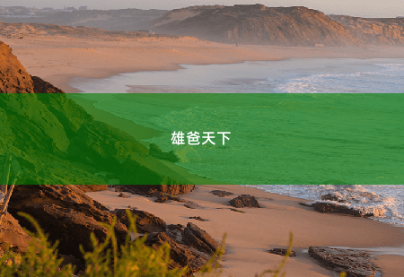 雄爸天下龙帅回归 -掌中文学