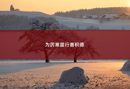  为厉寒霆行善积德 厉总，夫人去恋综谈恋爱了！-掌中文学