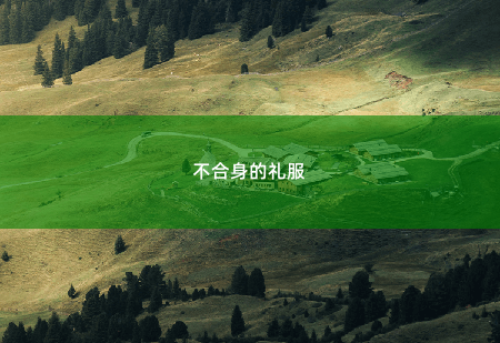 不合身的礼服傅总又在求夫人复婚了-掌中文学
