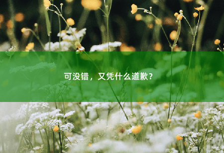可没错，又凭什么道歉？ 傅总又在求夫人复婚了-掌中文学