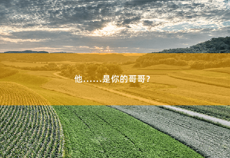  他……是你的哥哥？ 傅总又在求夫人复婚了-掌中文学