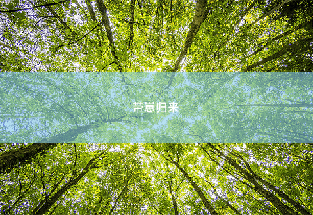 带崽归来三宝来袭,秦爷请签收-掌中文学