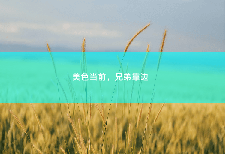 美色当前,兄弟靠边 总裁倒追财阀前妻-掌中文学