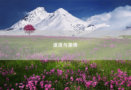 速度与激情杀神归来：从撕婚书开始-掌中文学
