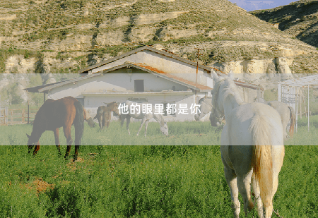  他的眼里都是你替嫁甜妻偏执宠-掌中文学