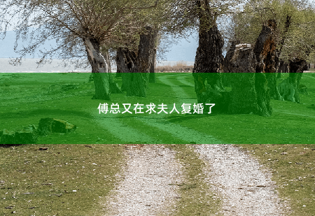 傅总又在求夫人复婚了一杯酒差点泼到蒋延洲脸上 -掌中文学