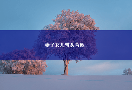 妻子女儿带头背叛！杀神归来：从撕婚书开始-掌中文学