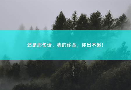 还是那句话,我的诊金,你出不起!女总裁的贴身隐龙-掌中文学
