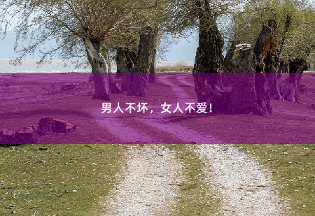 男人不坏，女人不爱！圆母亲梦进错房，闪婚高冷美女总裁！-掌中文学