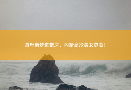 圆母亲梦进错房,闪婚高冷美女总裁!我看你有病来帮你,你却想睡我?-掌中文学