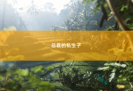 总裁的私生子 财阀上司又来和我抢崽崽-掌中文学