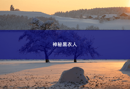 神秘黑衣人天才三宝:神秘爹地是大佬-掌中文学