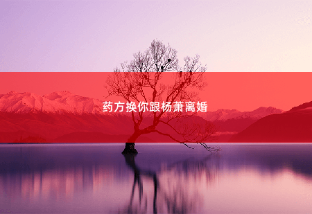药方换你跟杨萧离婚圆母亲梦进错房，闪婚高冷美女总裁！-掌中文学