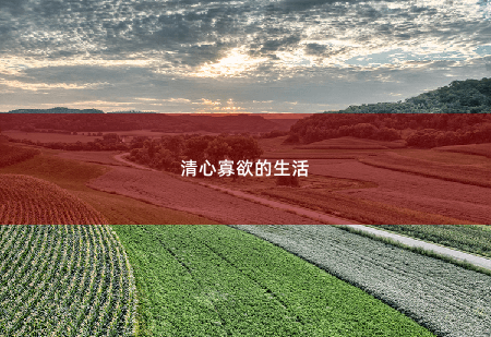 清心寡欲的生活带崽归来，她被禁欲总裁缠疯了-掌中文学