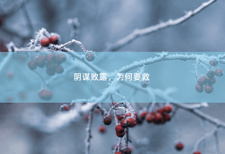 阴谋败露,为何要救 离婚后神医他摊牌了-掌中文学