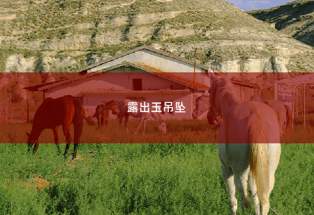 露出玉吊坠离婚后,前夫夜夜来敲门-掌中文学