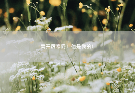 离开厉寒爵！他是我的！爵爷，夫人她披着马甲回来了-掌中文学