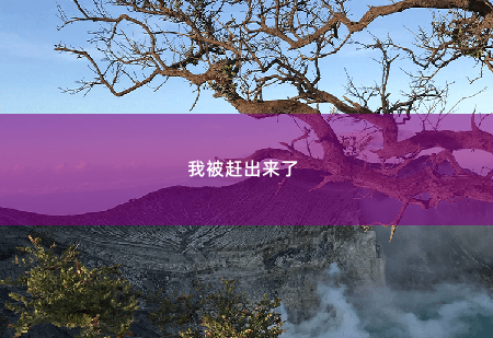 我被赶出来了 闪婚醋精霸总老公-掌中文学