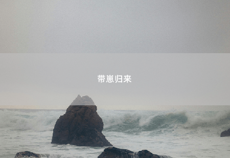 带崽归来爵爷，夫人她披着马甲回来了-掌中文学