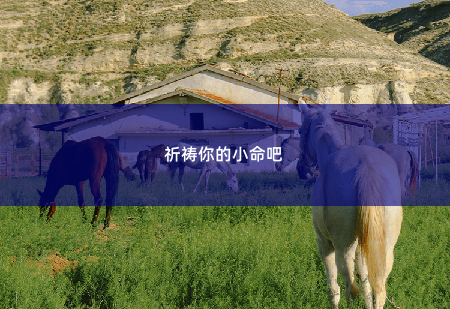  祈祷你的小命吧 带崽归来，她被禁欲总裁缠疯了-掌中文学