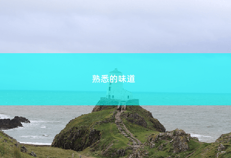 熟悉的味道 财阀上司又来和我抢崽崽-掌中文学